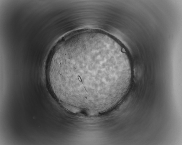 X0000089730972200707201838