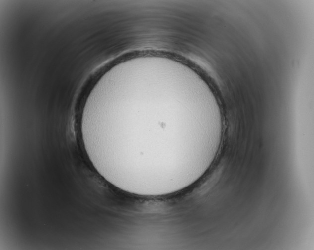 X0000089730974200707201838