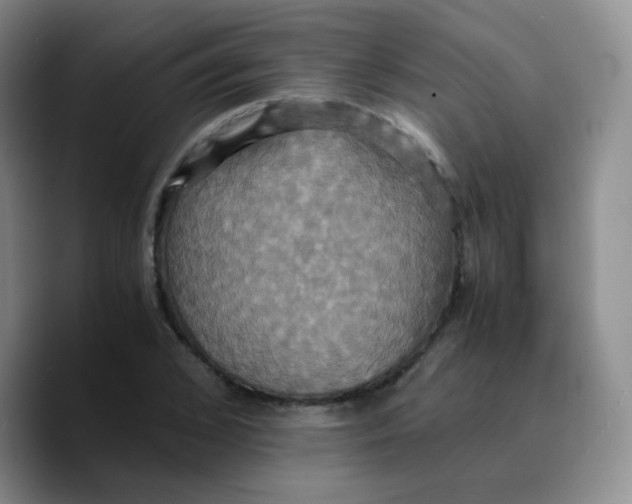 X0000089730976200707201838