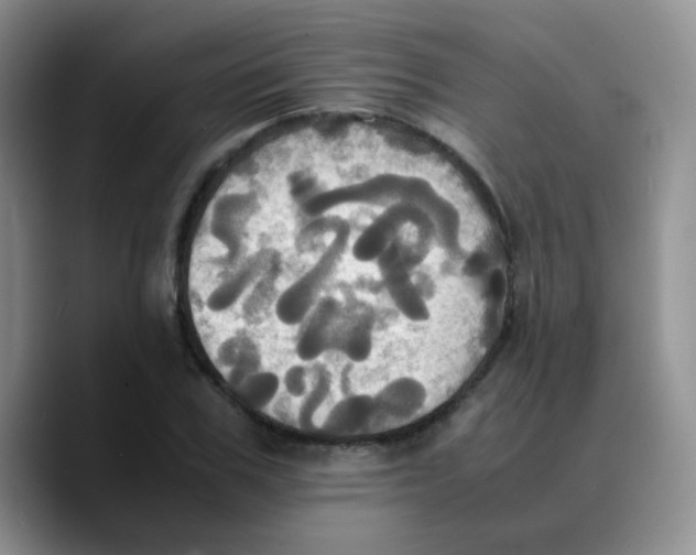 X0000089730979200707201838