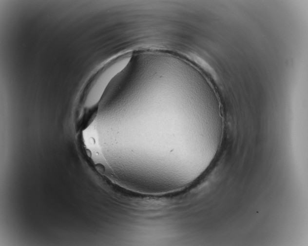 X0000089730981200707201838
