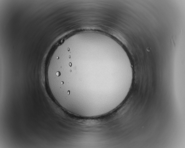 X0000089730984200707201838