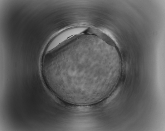 X0000089730989200707201838