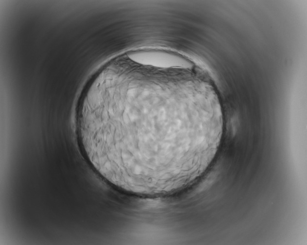 X0000089730990200707201838