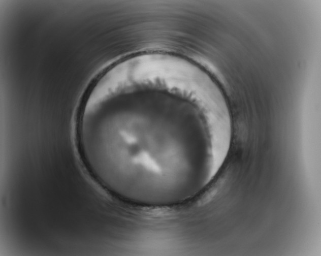 X0000089730991200707201838