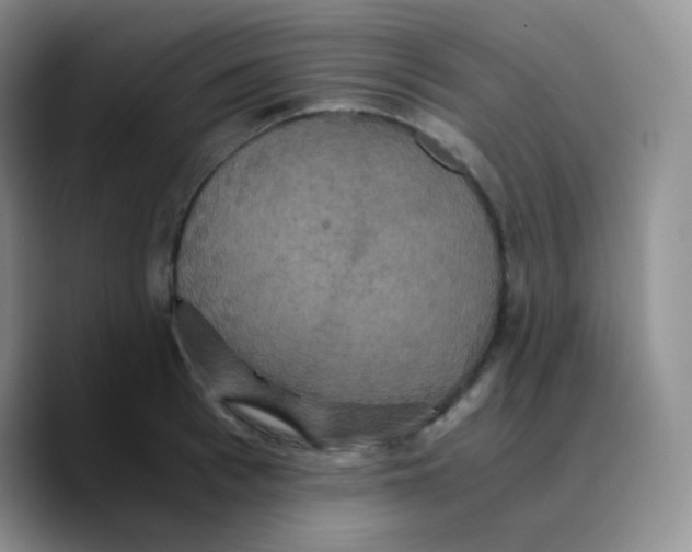X0000089730993200707201838