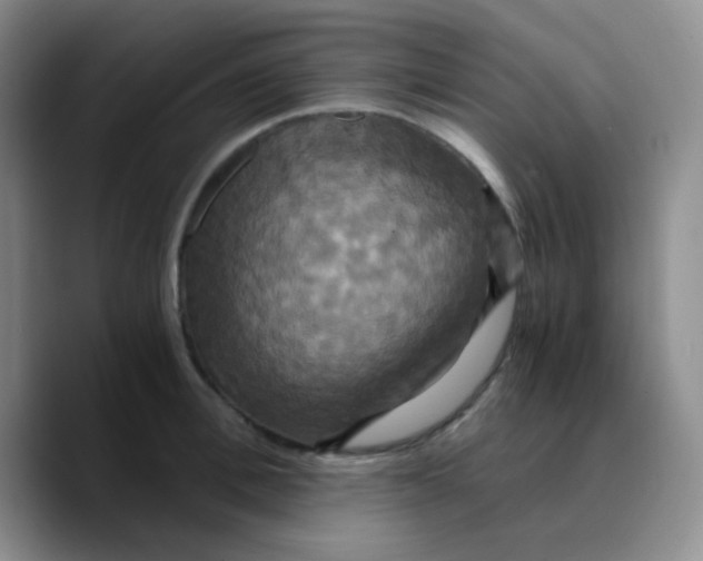 X0000089730996200707201837