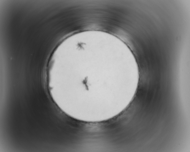X0000089731000200707201837