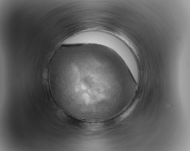 X0000089731001200707201837