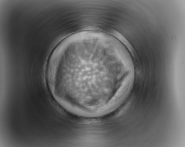 X0000089731002200707201837