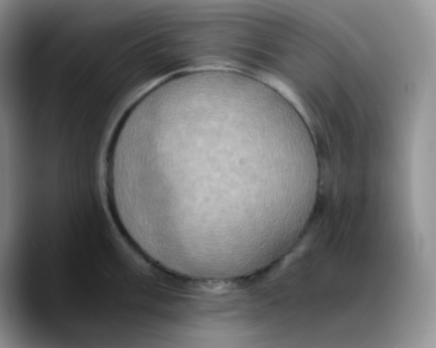 X0000089731003200707201837