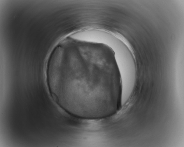 X0000089731005200707201837