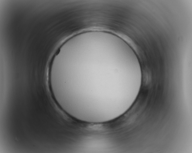 X0000089731006200707201837