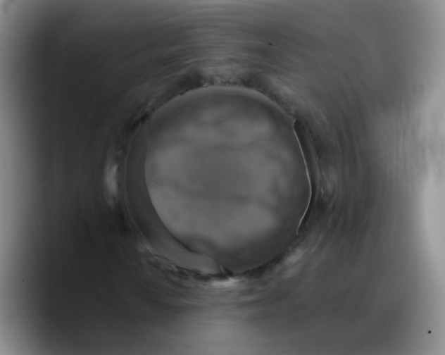 X0000089731010200707201837
