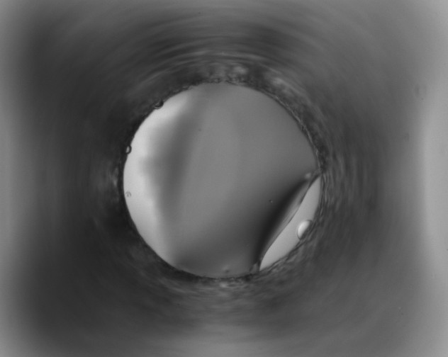 X0000089731013200707201837