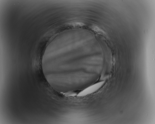 X0000089731014200707201837