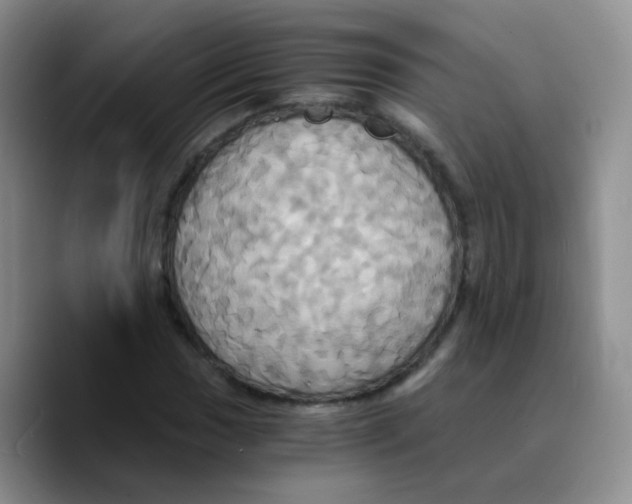 X0000089731017200707201837