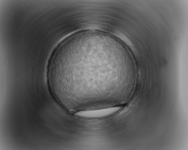 X0000089731020200707201837