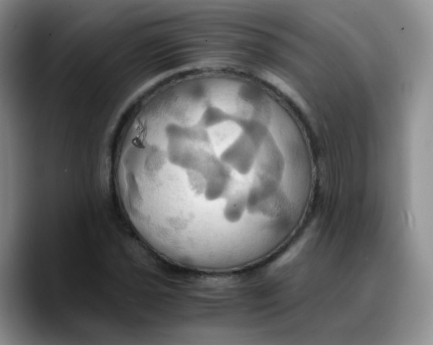 X0000089731021200707201837
