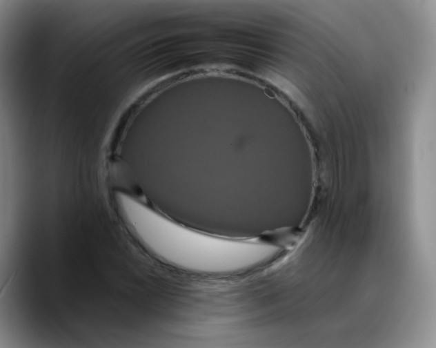 X0000089731022200707201837