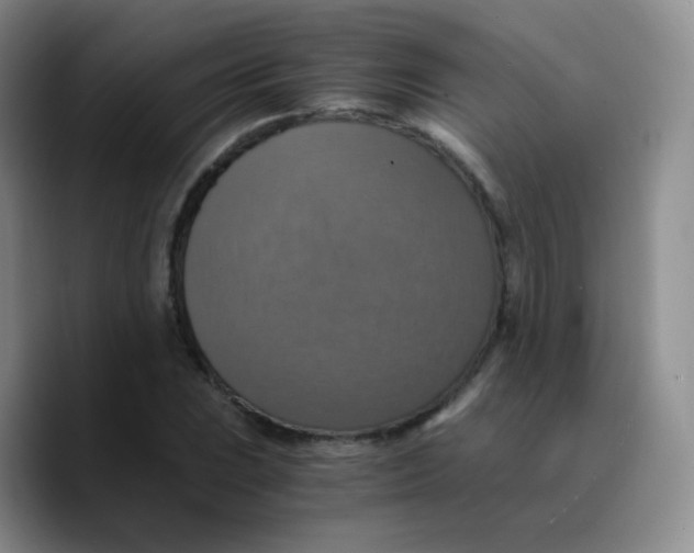 X0000089731023200707201837