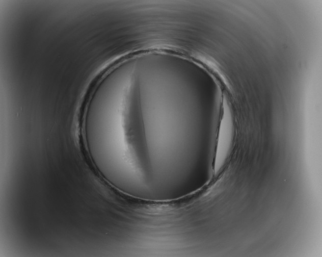 X0000089731024200707201837