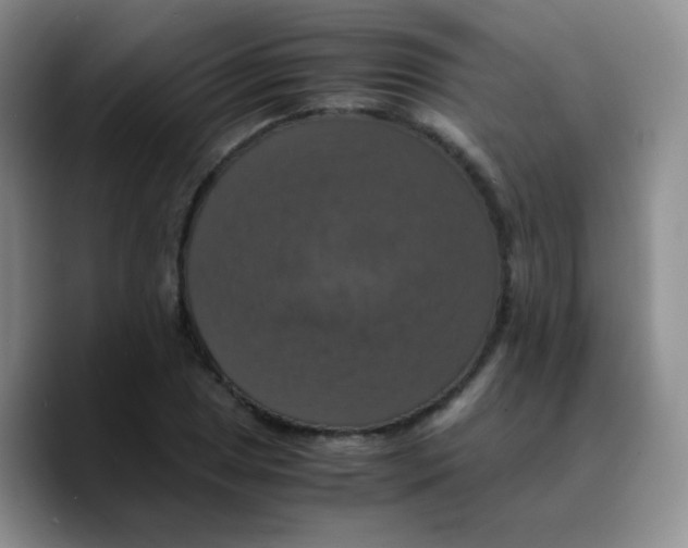 X0000089731025200707201837