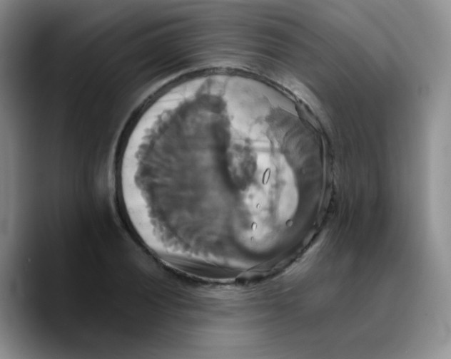 X0000089731028200707201837
