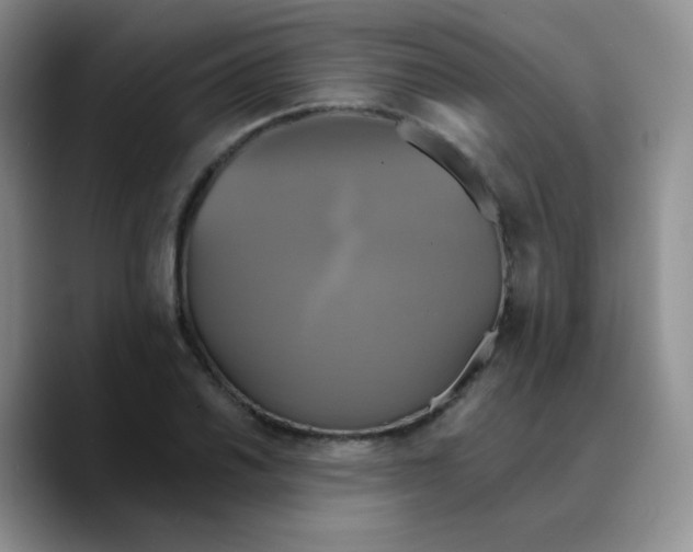 X0000089731030200707201837