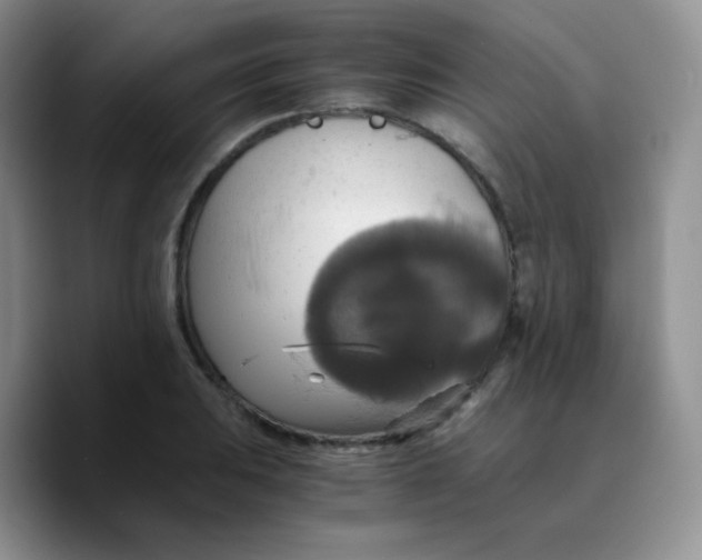 X0000089731031200707201837