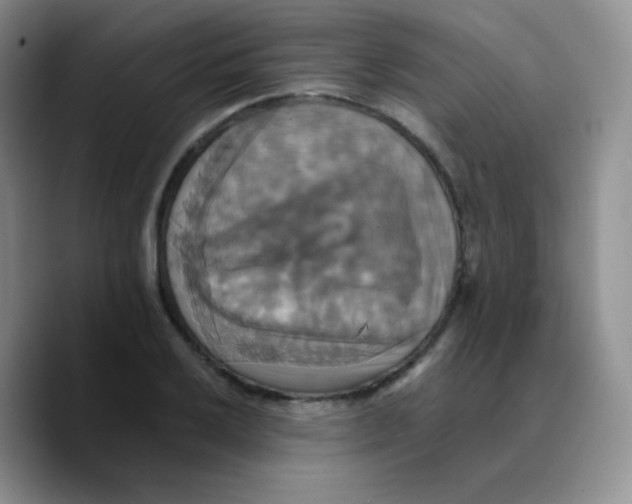 X0000089731032200707201837