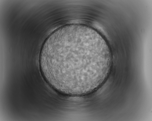 X0000089731033200707201837