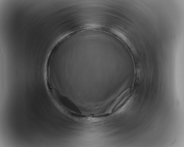 X0000089731034200707201837