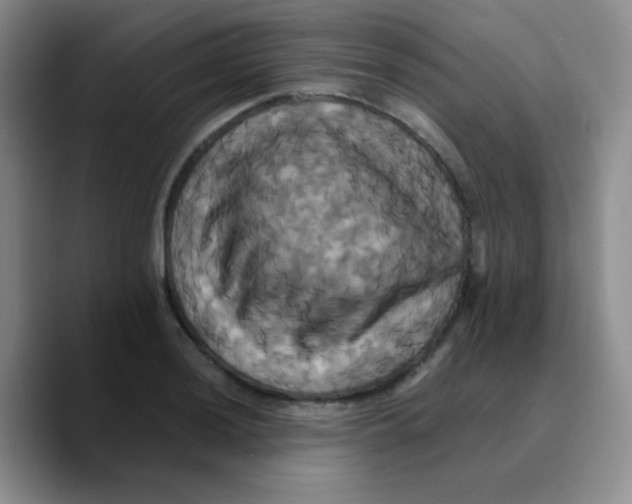 X0000089731036200707201837