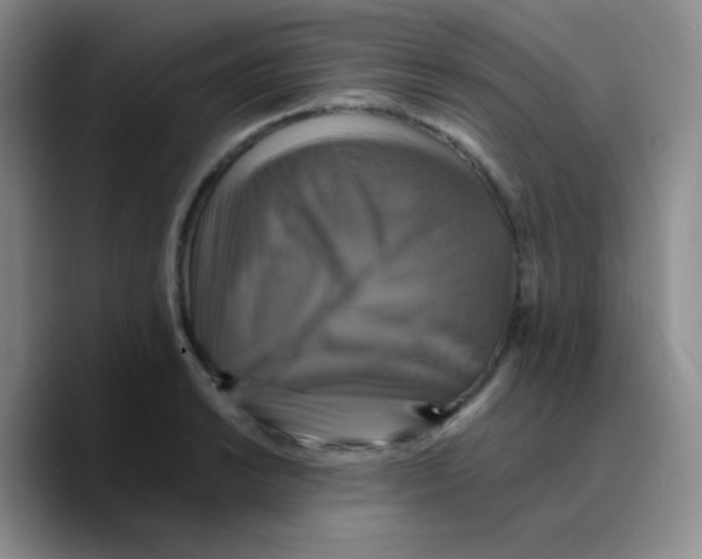 X0000089731038200707201837