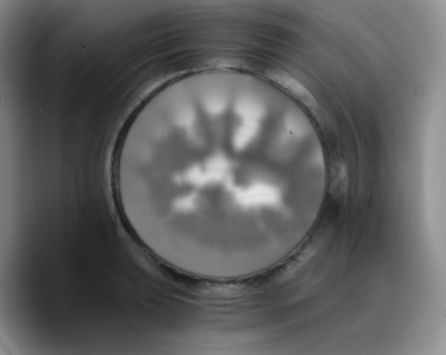 X0000089731039200707201837