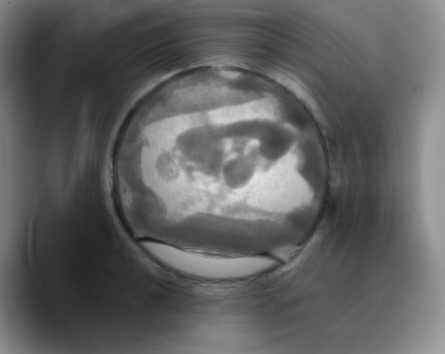 X0000089731040200707201837
