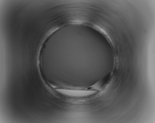 X0000089731042200707201837