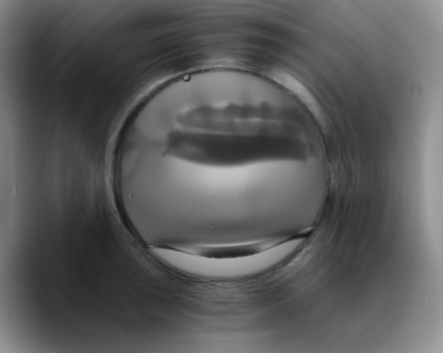 X0000089731043200707201837