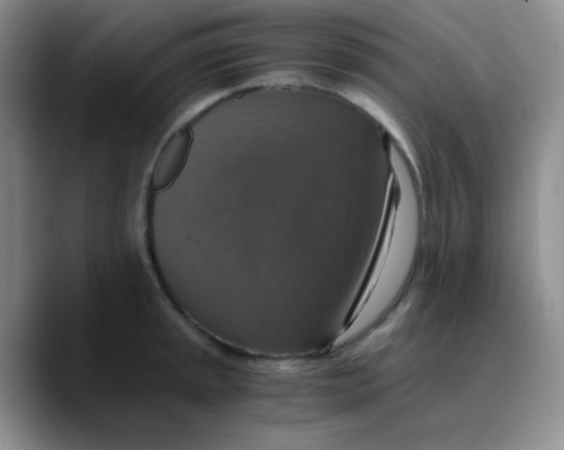 X0000089731045200707201837