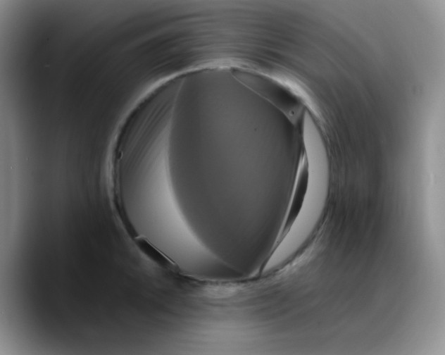 X0000089731046200707201837