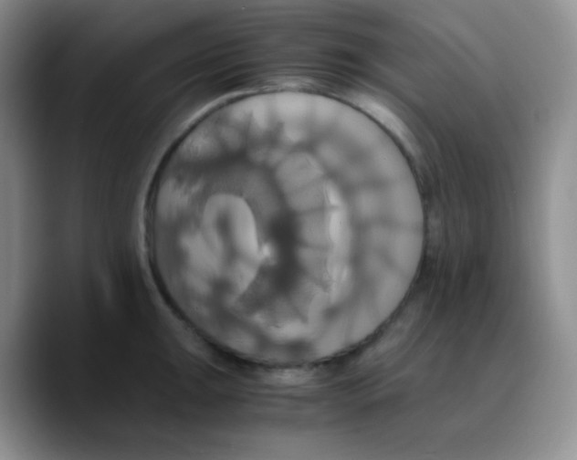 X0000089731047200707201837