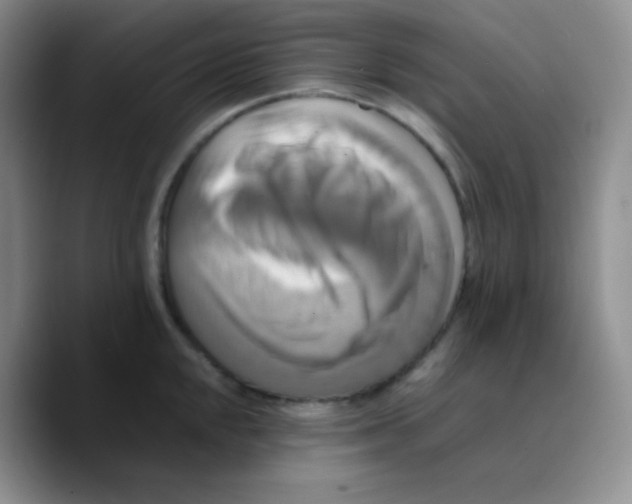 X0000089731048200707201837