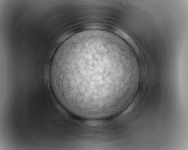 X0000089731049200707201837