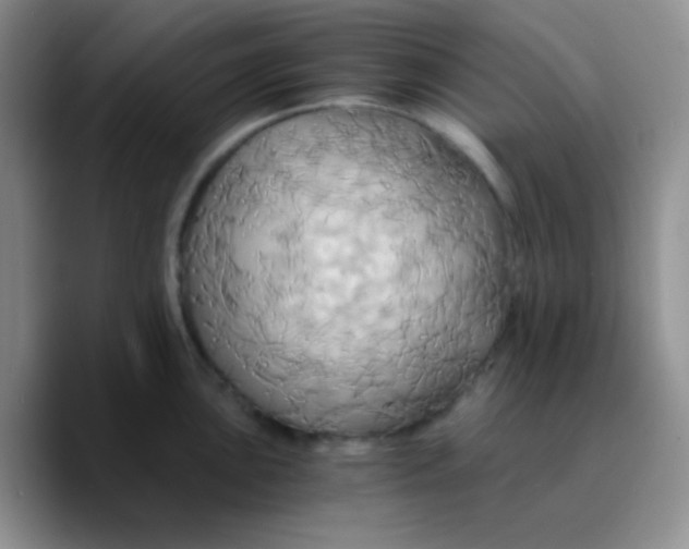 X0000089731051200707201837