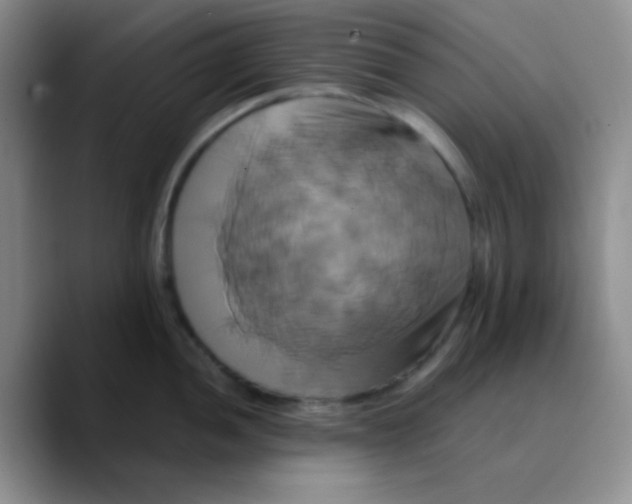 X0000089731052200707201837