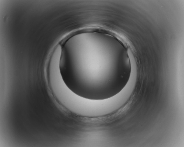 X0000089731054200707201837