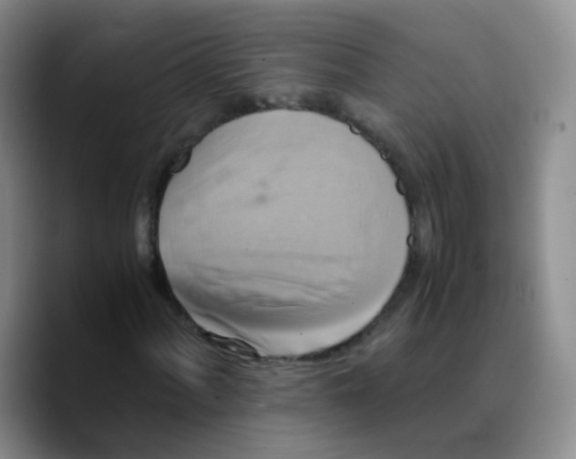 X0000089731060200707201837