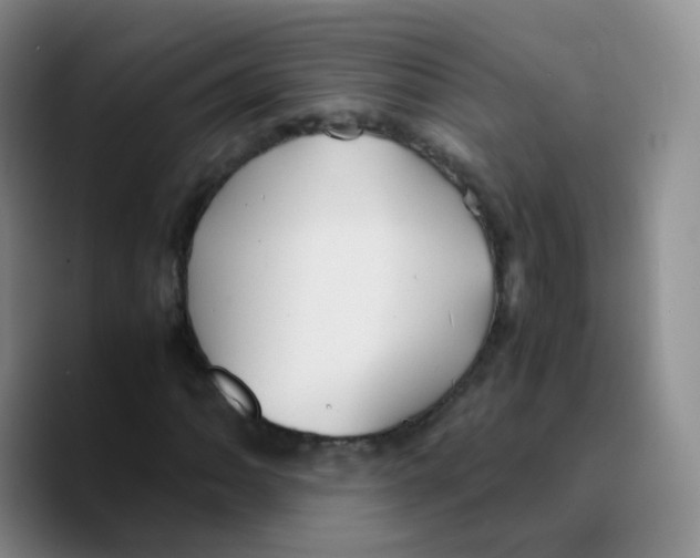 X0000089731062200707201837