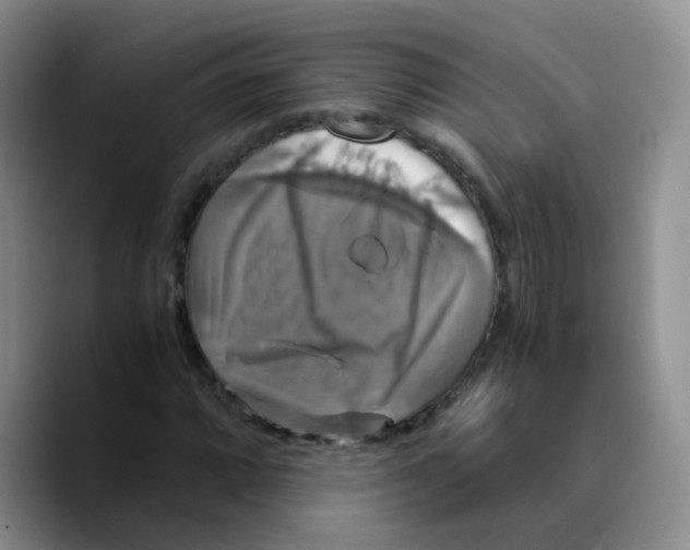 X0000089731064200707201837
